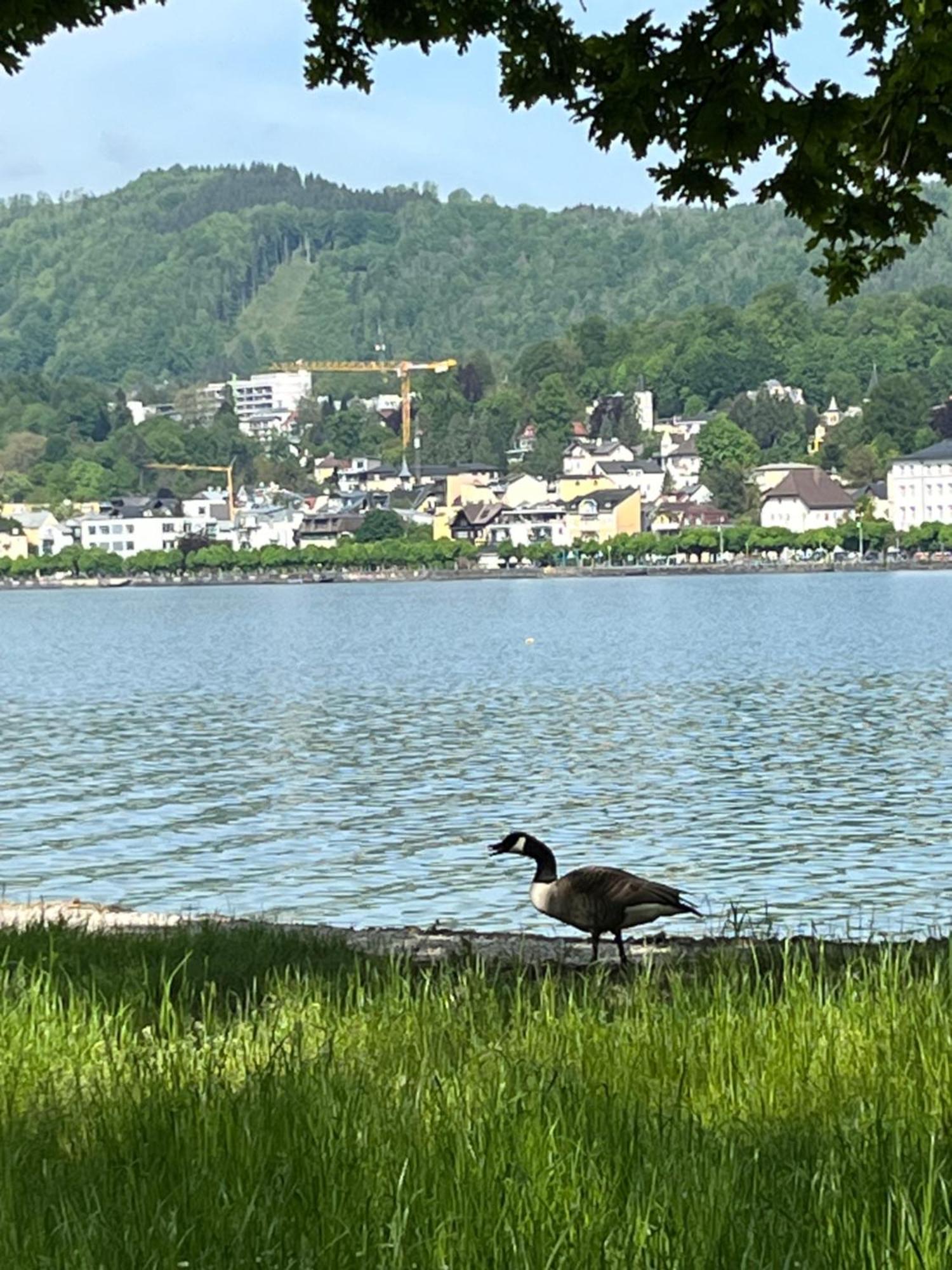 Altstadtjuwel In Gmunden Am Traunsee Ngoại thất bức ảnh