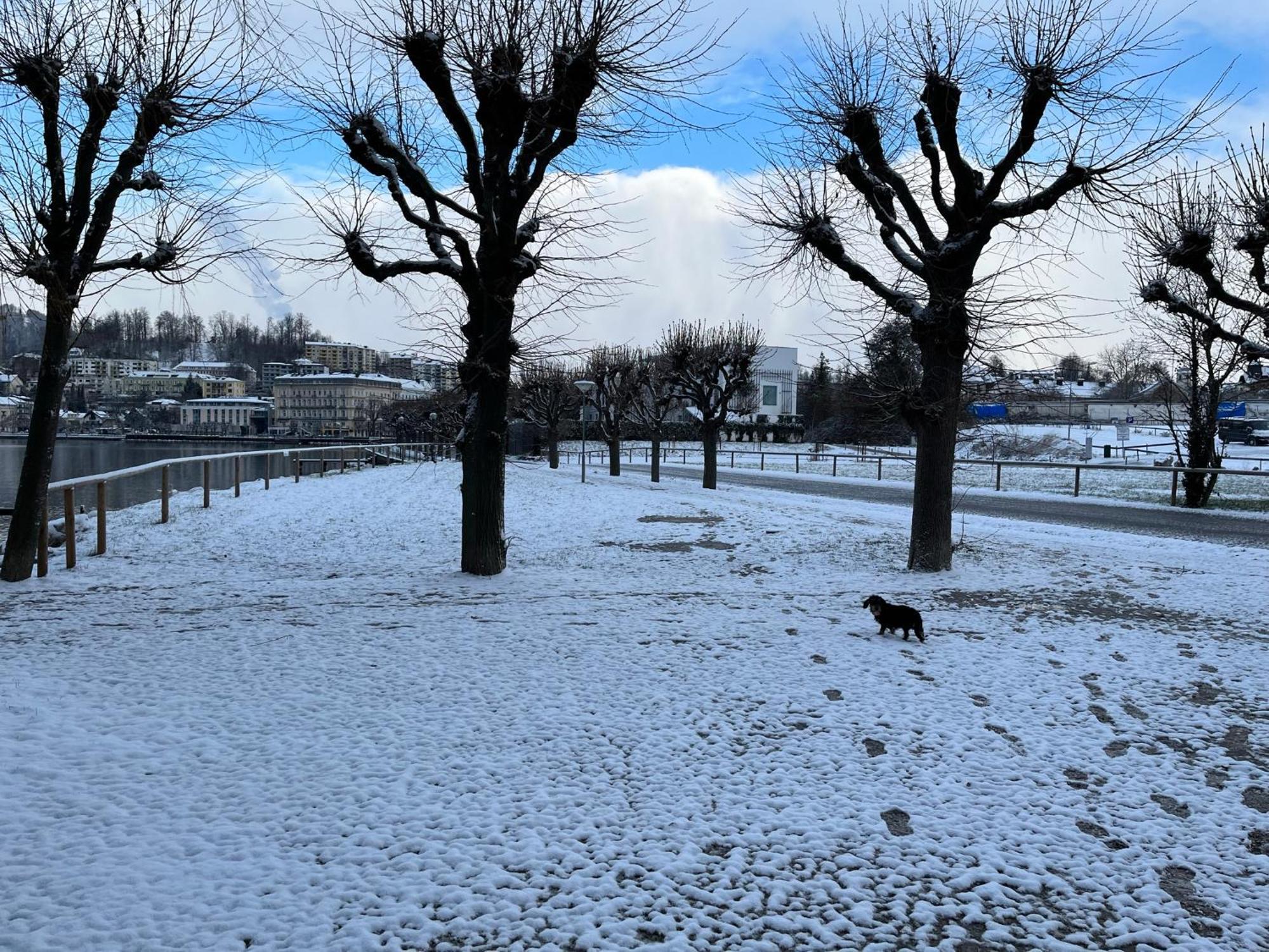 Altstadtjuwel In Gmunden Am Traunsee Ngoại thất bức ảnh